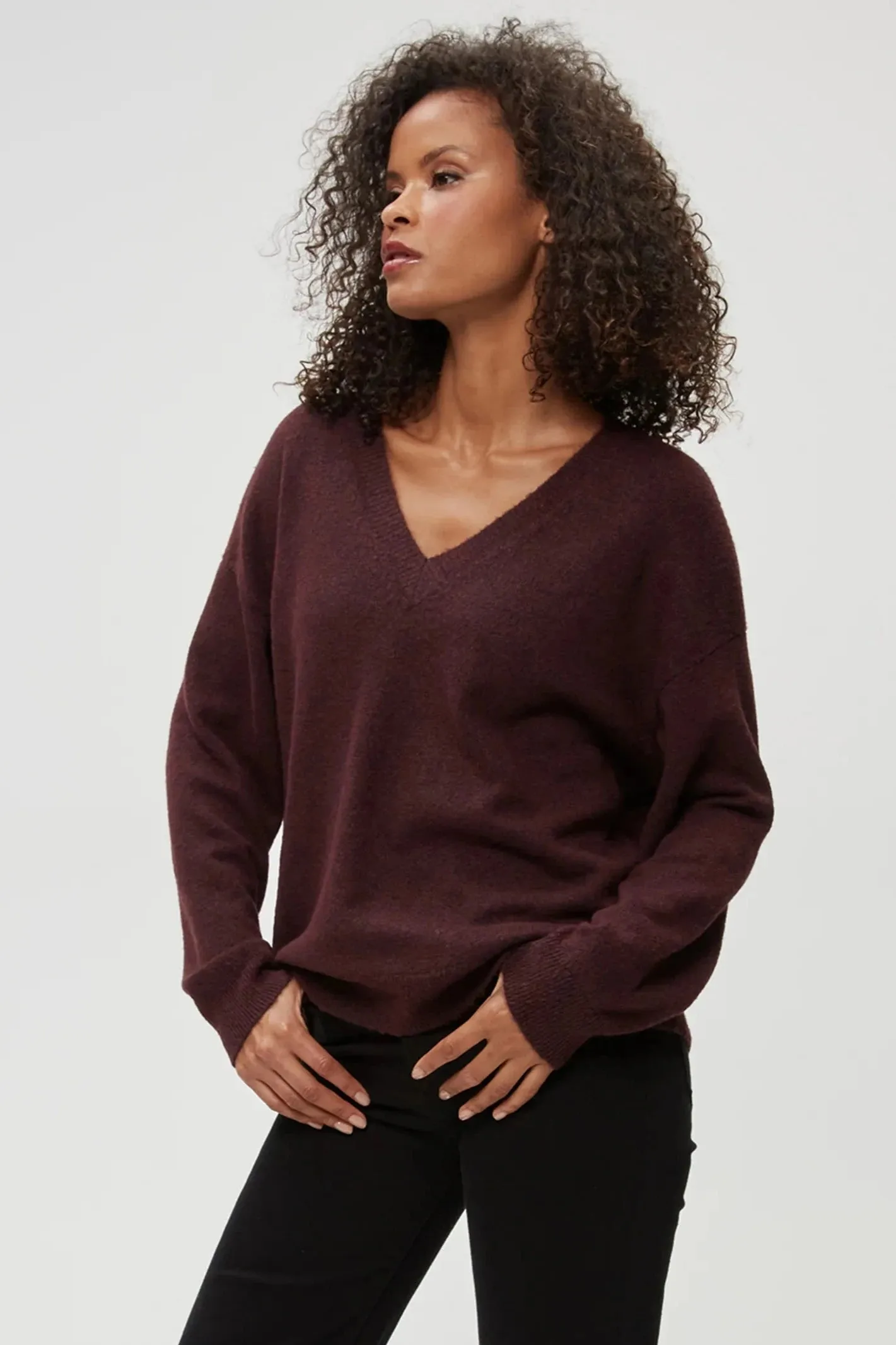Michael Stars Hendrix V-Neck Sweater